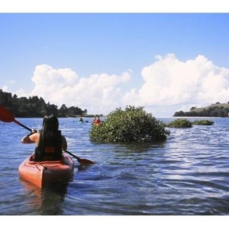 بيت شباب Yha Opoutere المظهر الخارجي الصورة